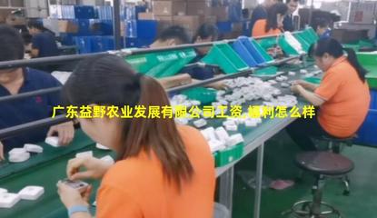 廣東益野農(nóng)業(yè) 領(lǐng)航畜牧漁業(yè)飼料銷售，助推現(xiàn)代農(nóng)牧業(yè)發(fā)展