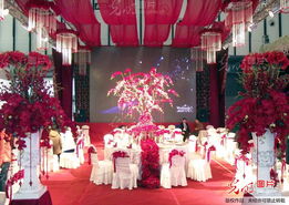 南京冬季婚慶采購(gòu)訂單潮涌來(lái)，結(jié)婚服務(wù)市場(chǎng)呈專(zhuān)業(yè)化和高質(zhì)量新動(dòng)能觀